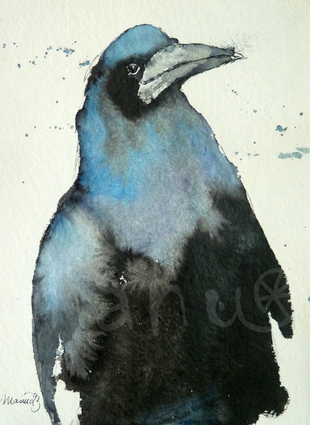 Vogelstudie XIV - Rabe