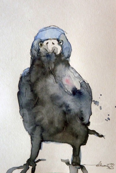 Vogelstudie V - Saatkrähe