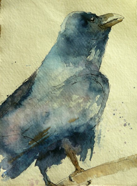 Vogelstudie XVIII - Rabe