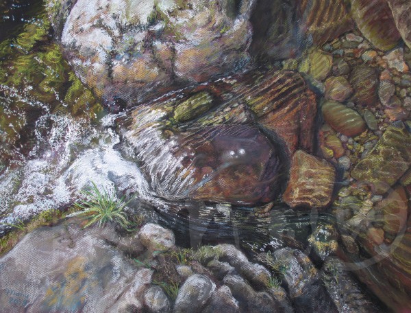 Die Welt aus der Nähe betrachtet - Juli