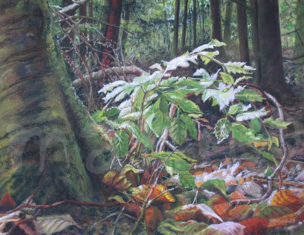 Die Welt aus der Nähe betrachtet - September