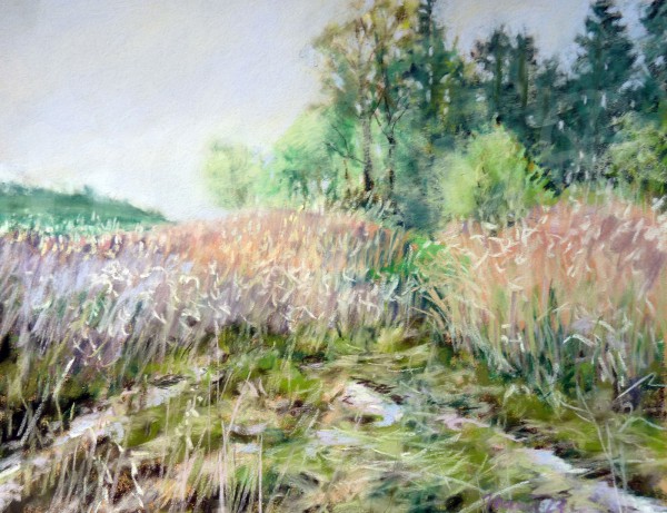 Schottische Heide III