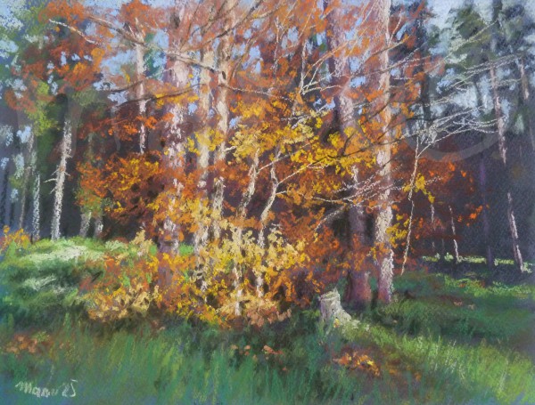 Herbst im Herzen des Spessart