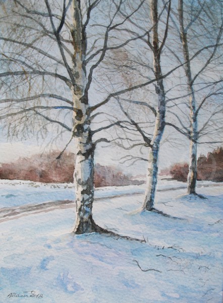Drei Birken im Schnee