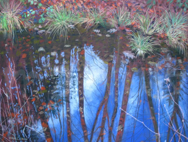 Die Welt aus der Nähe betrachtet - November