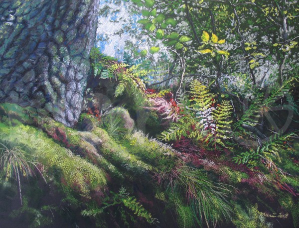 Die Welt aus der Nähe betrachtet - Juni