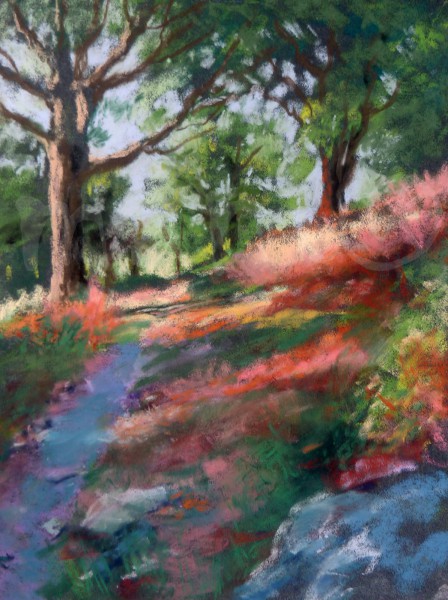 Heide bei Crozant II