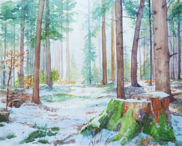 Schnee am Hundsrück