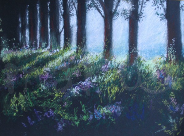 Pappelallee im Gegenlicht