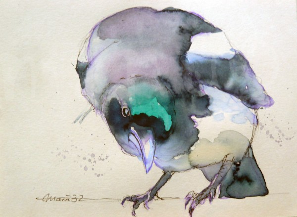 Vogelstudie XI - Elster