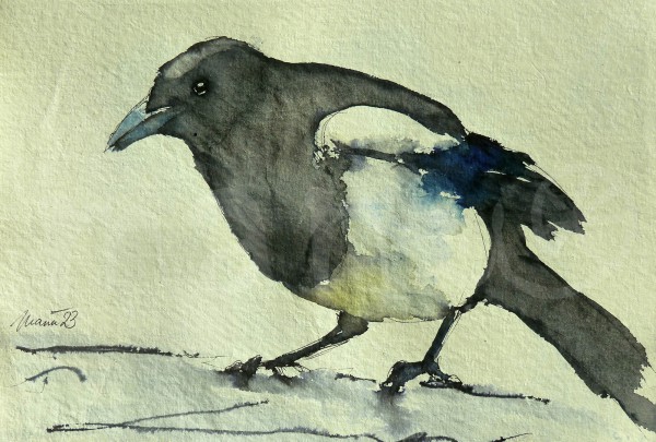 Vogelstudie XXV - Elster