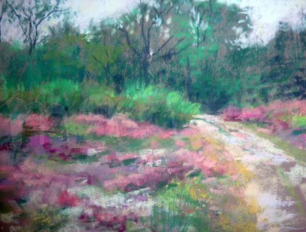 Heide bei Crozant III