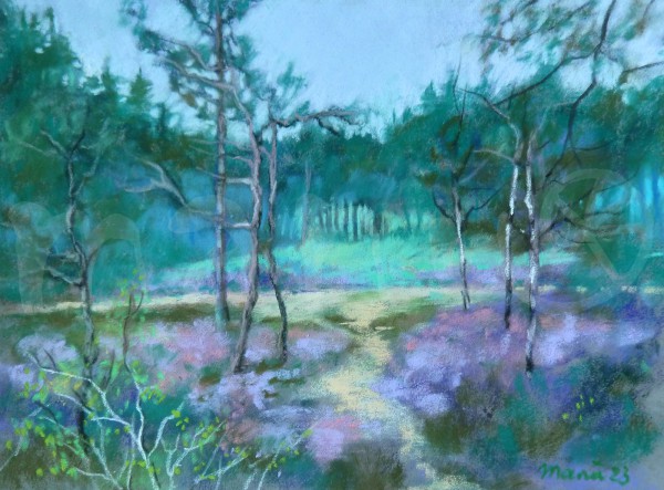 Schottische Heide II