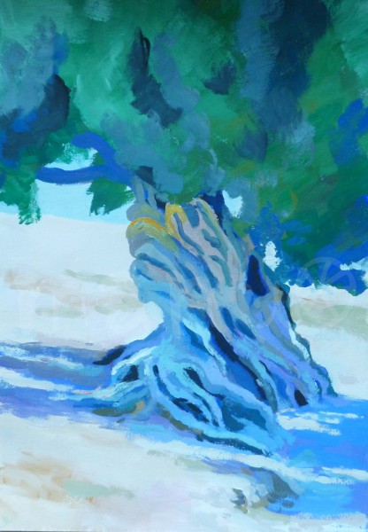 Olivenbaum in Agrigent