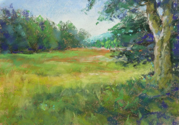 Das stille Kropfbachtal