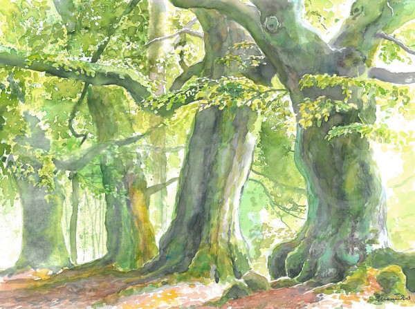 Alte Freunde im Kellerwald