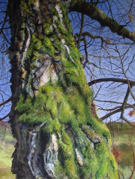 Die Welt aus der Nähe betrachtet - Dezember