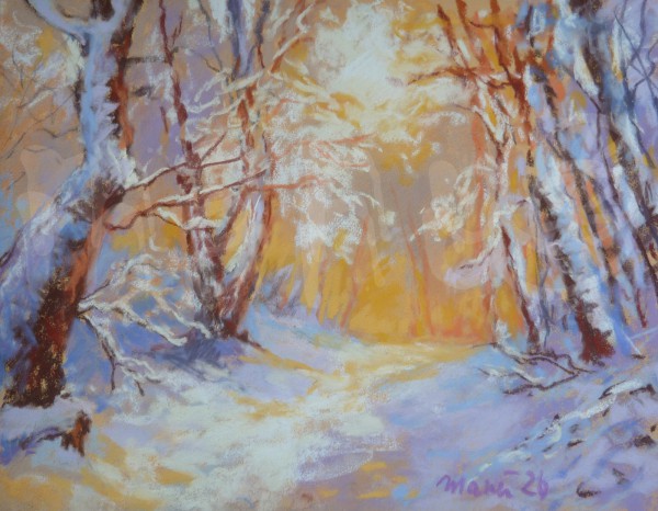 Lichter Wintertag II