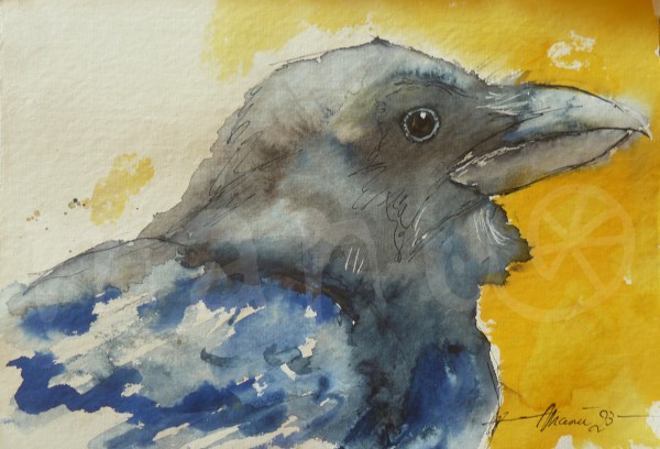 Vogelstudie XXVI - Rabe