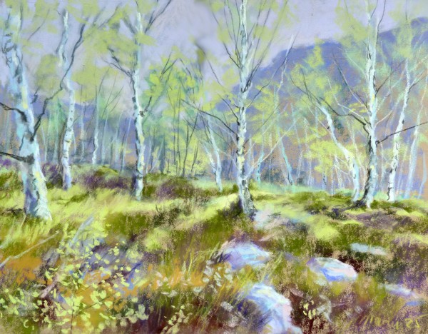 Schottische Heide IV