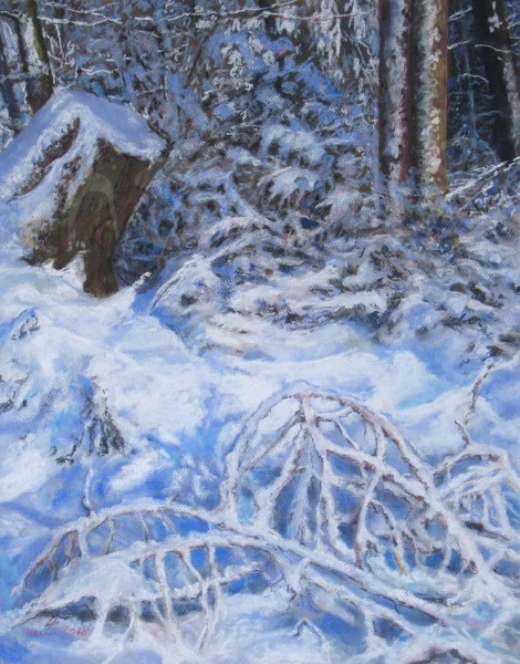 Die Welt aus der Nähe betrachtet - Januar