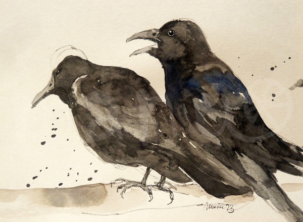 Vogelstudie IX - Kolkraben