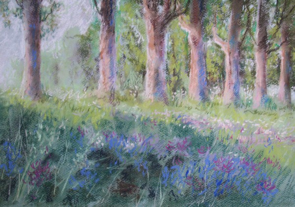 Pappelallee im Morgenlicht