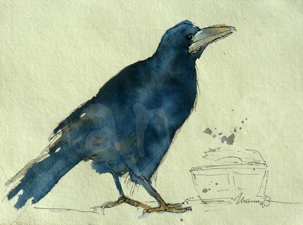 Vogelstudie XXIV - Saatkrähe