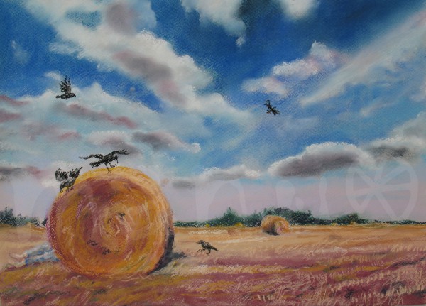 Was auf dem Feld geschah