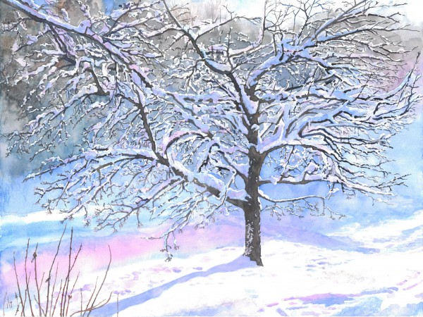 Der Traum des Apfelbaums