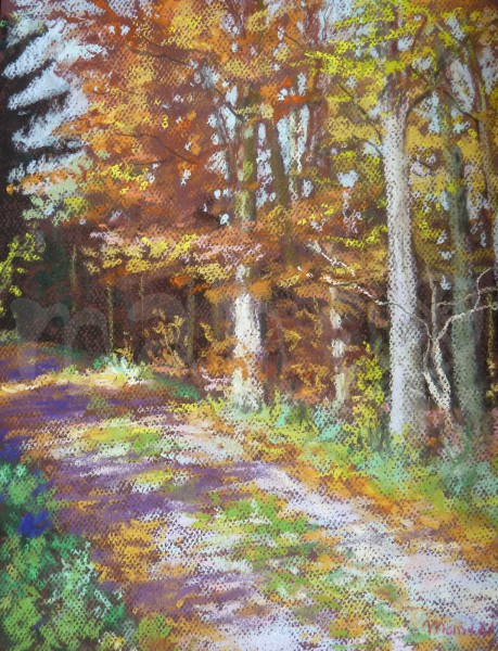 Herbst in Schollbrunn