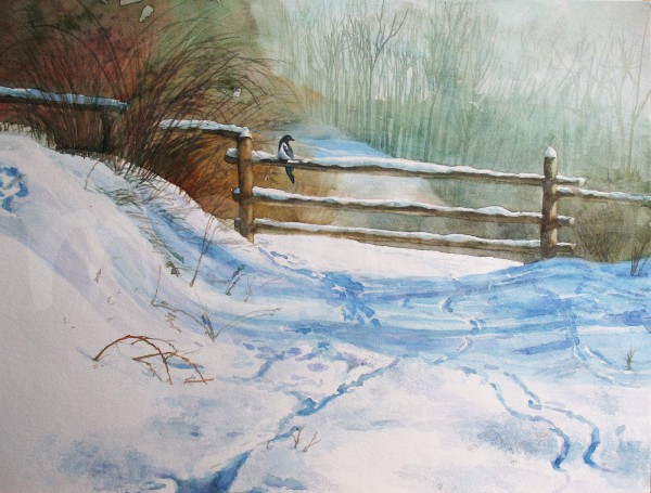 Die Elster auf dem Zaun