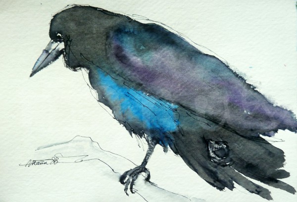 Vogelstudie XVI - Rabe