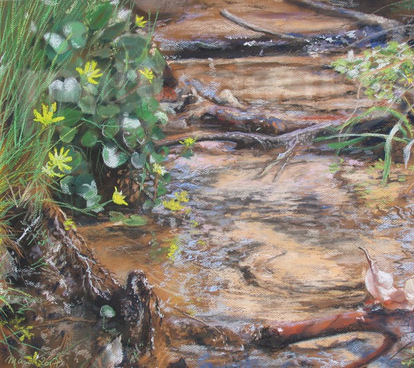 Die Welt aus der Nähe betrachtet - März