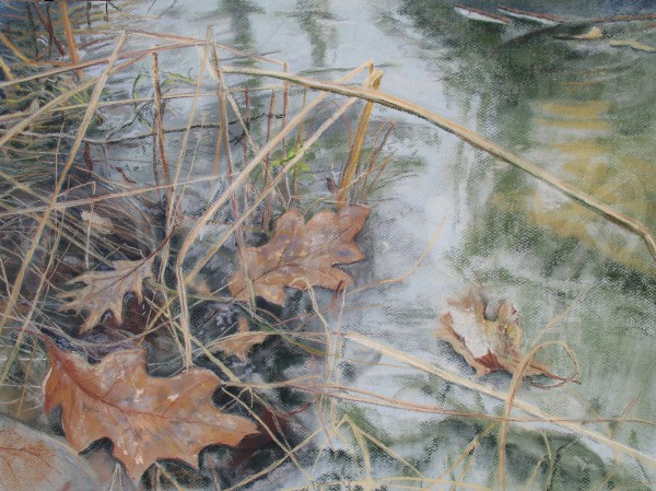 Die Welt aus der Nähe betrachtet - Februar